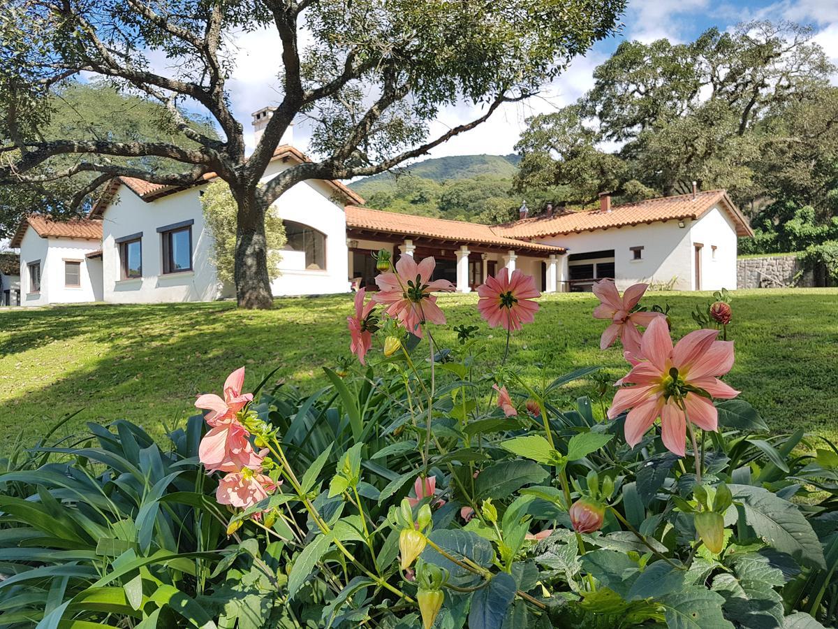 Hotel Torrontes San Lorenzo  Eksteriør billede